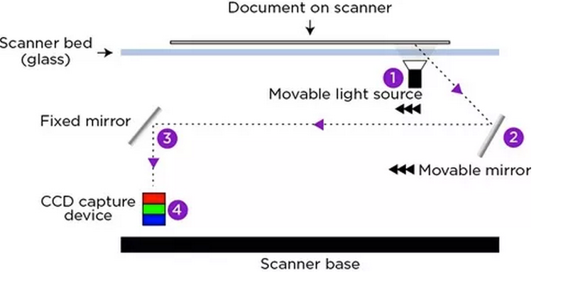 Illustration for article titled What Would Happen If You Put A Mirror In A Scanner?